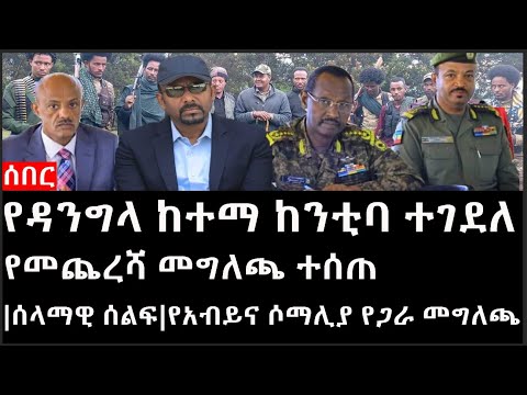 Ethiopia: ሰበር ዜና - የኢትዮታይምስ የዕለቱ ዜና |የዳንግላ ከተማ ከንቲባ ተገደለ|የመጨረሻ መግለጫ ተሰጠ|ሰላማዊ ሰልፍ|የአብይና ሶማሊያ የጋራ መግለጫ