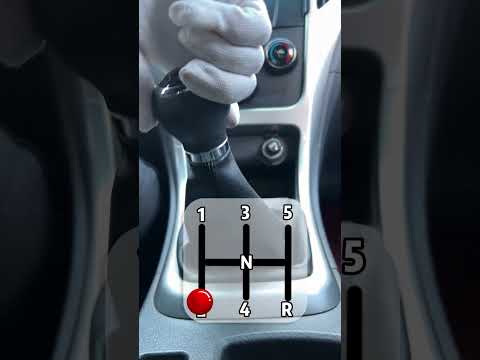 Learning to drive starts with learning to put into gear #car #drivinglessons #funny