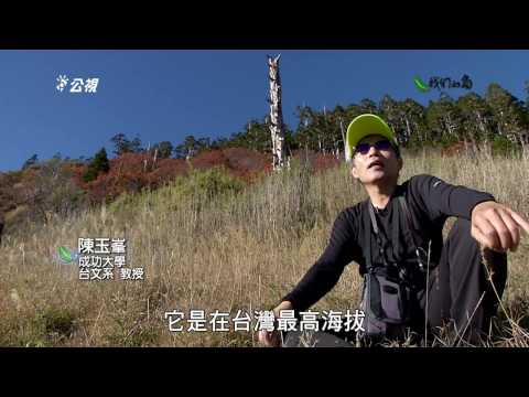 我們的島 第885集 台灣屋脊上的玉山圓柏 I (2016-12-12) - YouTube(13分42秒)