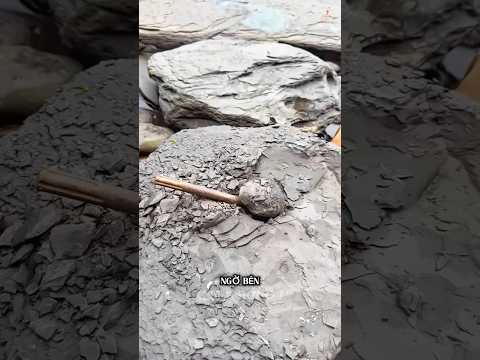 Anh chàng tìm thấy kho báu trong tảng đá lớn ven biển | Chấm Hỏi ?