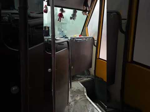 Вокруг такая красота