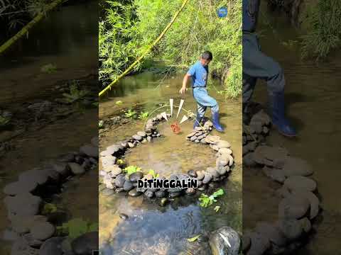 Pria Ini Susun Batu di Sungai, Hasilnya Bikin Kaget!