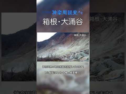 【大涌谷】地獄谷・大地獄と呼ばれていた死の谷へ行ってきた!【箱根観光地】Hakone Owakudani #Shorts