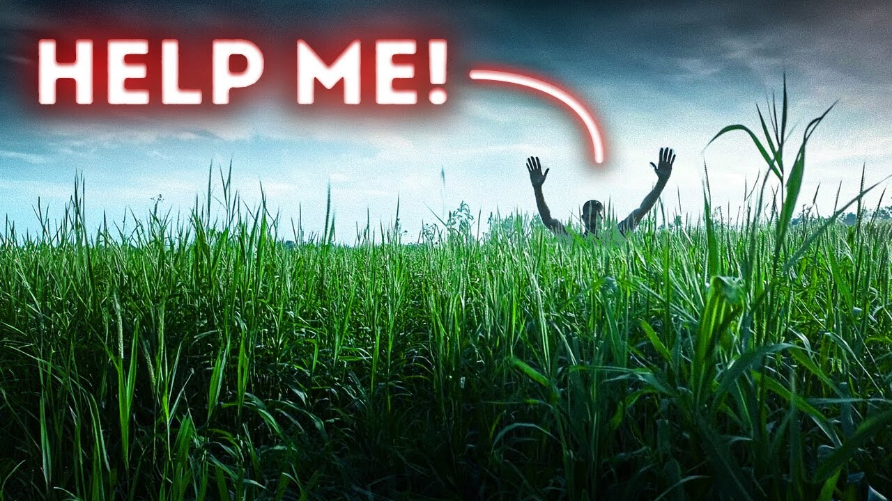 A Man Vanished in Daylight – What Happened in That Field?