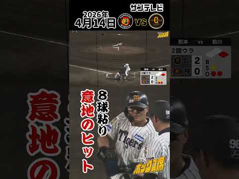 【前川 8球粘って意地のチーム初ヒット】連日のスタメン起用に応える価値あるヒット(4月14日 阪神ー巨人) #サンテレビボックス席 #shorts