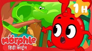 मॉर्फ़ल बनाम जानवर! | Morphle | बच्चों के गाने और कहानियां | Nursery Rhymes & Stories