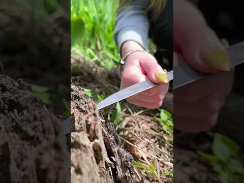 This GIRL Will Survive Anywhere!๐#camping #survival #bushcraft #outdoors #lifehack