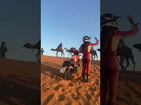 Gefahren einer Reise