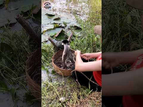 Amazing unique plastic pipe fishing trap | challenge video 😱 #shorts #shortsfeed #challenge #fishing