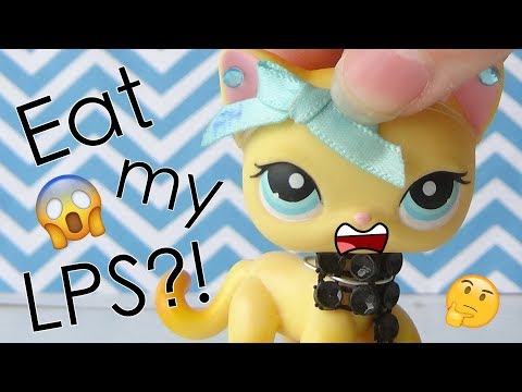 LPS: Would You Rather Challenge (ft. Lps So Perfesh)