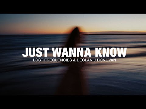 Lost Frequencies, Declan J Donovan - Just Wanna Know (Lyrics)