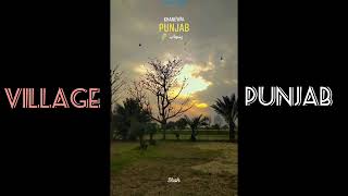 Mera suna Punjab 🌿🌳