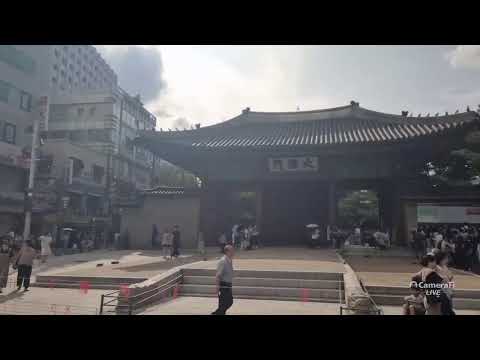 올인방송's 대한문 국본 집회, 구성재 연설(2026/08/29)(후원: <strong>농협</strong> 333053-51-072090 조영환)