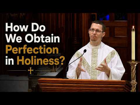St. Bonaventure's Path to Christian Perfection | Fr. Tyler Mentzer,MIC