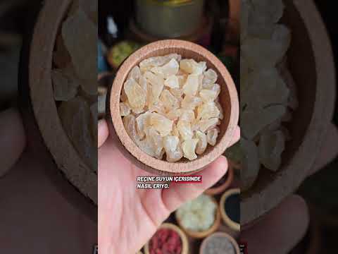 Kabızlık ve Hemoroid İçin Bağırsak Desteği Müsilaj Zengini Kitre Zamkı 🌲