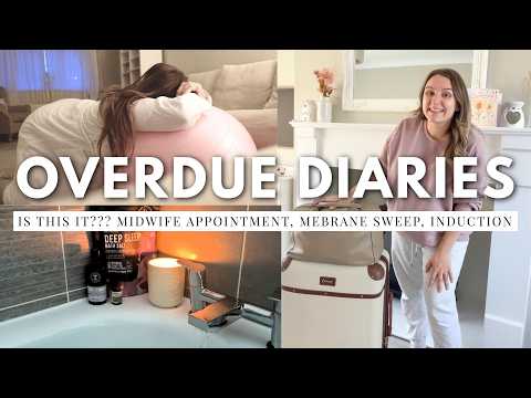 OVERDUE DIARIES | is this finally it?!!!