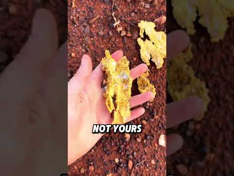 Why You Never Want To Find Gold 😮😳
