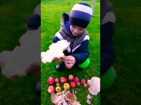 Огромные грибы #блогер #blogger #shorts