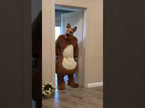 Dasha brings dog snacks to the funny dogs, Arsenii Boy