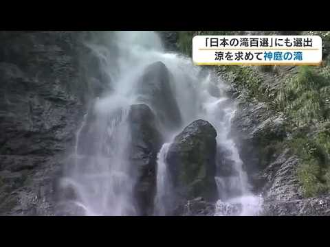 【涼を訪ねて】９）“日本の滝百選” 真庭市・神庭の滝には水辺でくつろぐ野生のニホンザルの姿も【岡山】 (26/07/31 07:30)