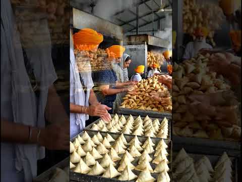 🙏🥟 10,000+ Samose Da Langar Served! ❤️ | Amazing Gurudwara Langar Seva