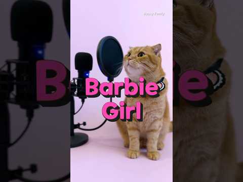 베니의 ‘Barbie Girl(바비걸)’ - Aqua(아쿠아) cover by Benny the Cat #shorts
