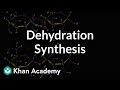 Understanding Glucose and Carbohydrate Synthesis
