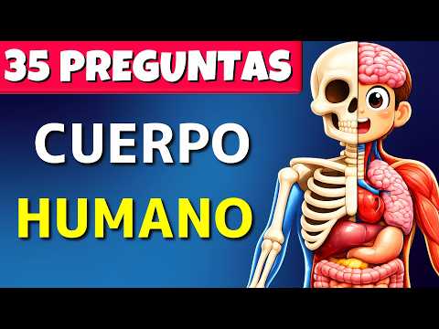 RETO DEL CUERPO🧠 | Desafío Cuerpo Humano