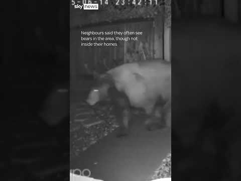 Dog defends home from bear