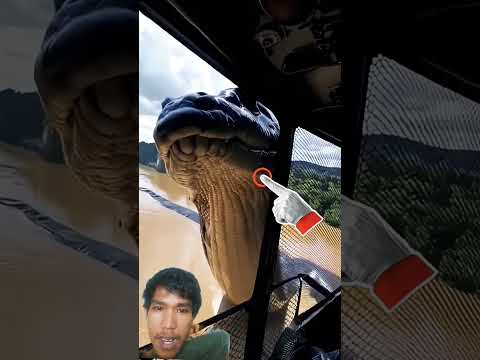 ada anaconda#anaconda #reels #ularbesar #youtube #ularberbahaya#anaconda3 #videos #ytshorts