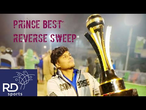 11 pally final, PRINCE MAXWELL best reverse sweep shots!!🤘🔥🤘