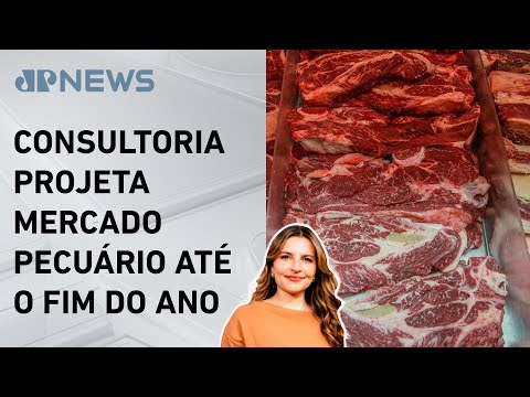 Preço da carne bovina vai subir mais? Kellen Severo comenta