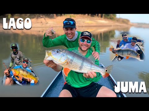 Pesca de Tucunares - Lago Juma ( Amazonas - Brasil)