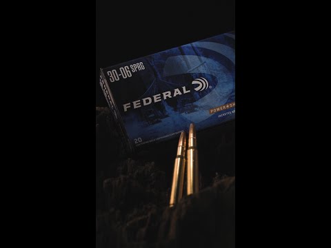 Federal Power-Shok 30-06