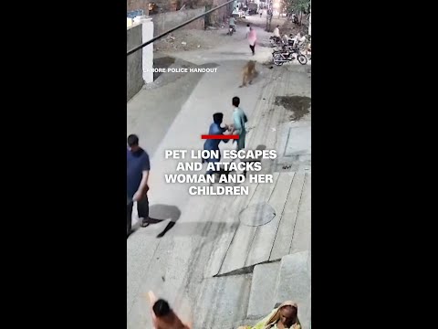 Pet lion escapes and attacks woman and her children