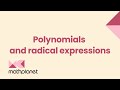 Polynomial and Exponential Concepts