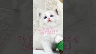 2025年8月2日