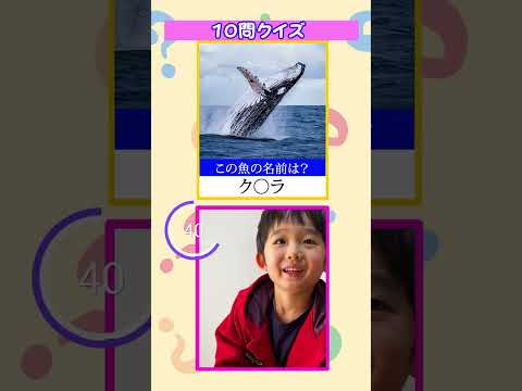 5歳児に10問クイズしてみたwwww#shorts #シングルファザー #平和な日常