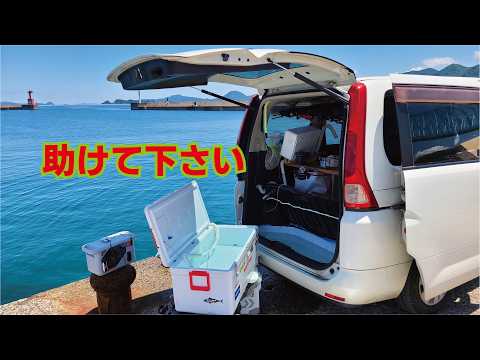 足元でガキが釣れる堤防そしてリストアされた魔改造車から液体が漏れだし助けて欲しい！