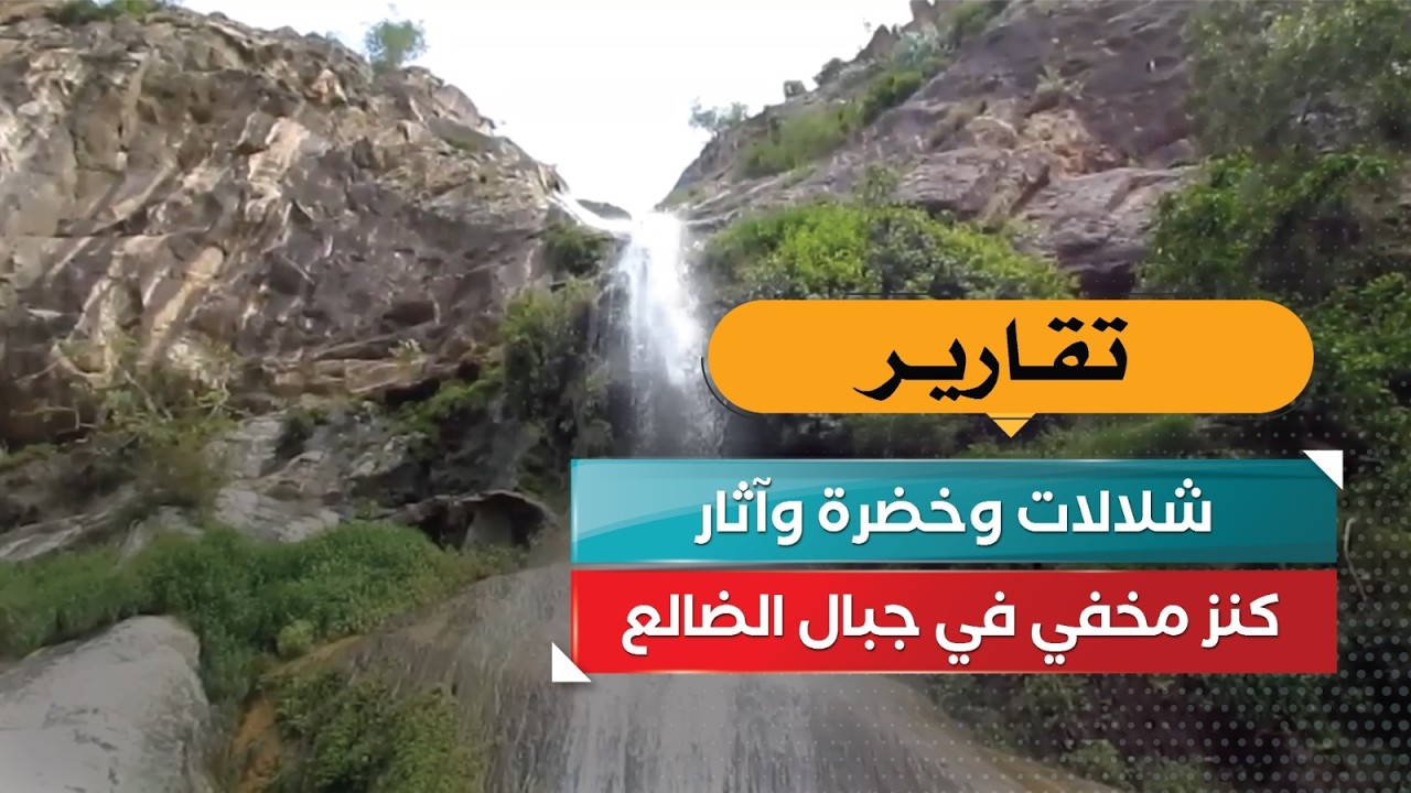 قناة السعيدة