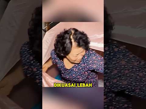 rumahnya DISERBU LEBAH‼️☠️