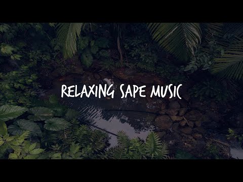 RELAKSASI MUSIK INSTRUMEN SAPE DAYAK TERBARU!!