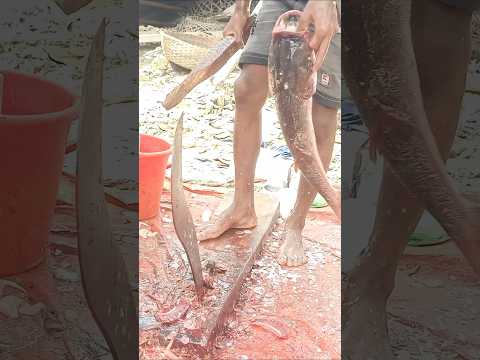 Monster Big Giant Silver Fish Cutting Skill 😱🐟 | Expert Fish Cleaning | World Famous Cutting Master