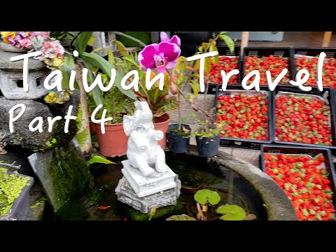 Taipei Taiwan Part 4 | Eslite Bookstore | More Food & Shopping | Solo Woman Travel