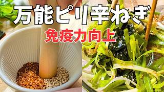 酷暑を乗り越えろ！【夏バテ防止！】万能ねぎとワカメの旨辛レシピ！