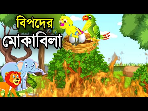 বিপদের মোকাবিলা | Bangla Cartoon | Bhuter Cartoon | Rupkothar Golpo | Tuni Pakhir Golpo | BM Vlogs