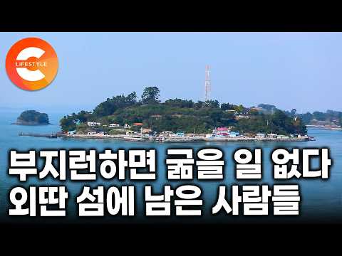 “여기선 돈 없어도 굶진 않아요” 8가구 13명이 사는 아담한 섬, 평생 신도를 떠나지 않은 사람들ㅣ#한국기행