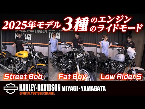 【ハーレーダビッドソン】ライドモード切り替え機能付き！新型ソフテイル３カテゴリーを比較！（ハーレー/Harley-Davidson/宮城/仙台/東北）