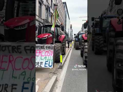 STOP au Mercosur 🇧🇪🧑‍🌾🇫🇷 