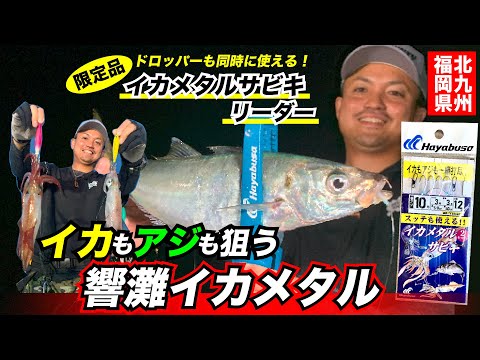 【響灘イカメタル】ドロッパーも同時に使えるイカメタルサビキリーダーでイカもアジも一網打尽！？落すだけで良型アジサバ爆釣！【イカメタルサビキ】